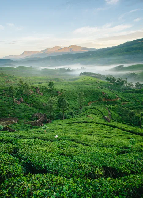 Kerala
